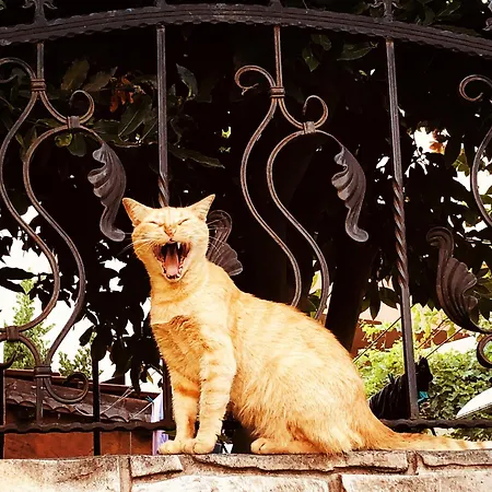 Bulgaria Na Lato Z Widokiem Na Morze Апартамент