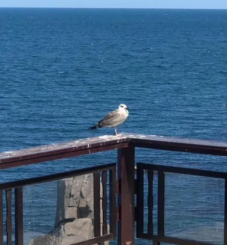 Bulgaria Na Lato Z Widokiem Na Morze Апартамент *