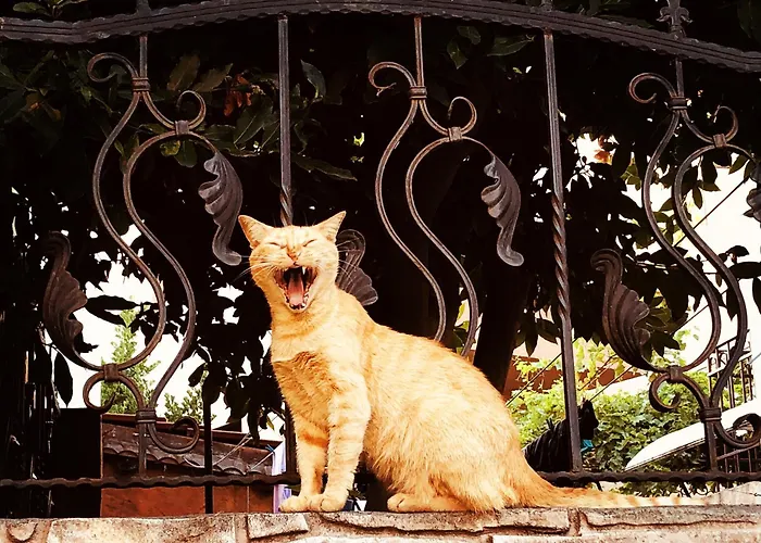 Bulgaria Na Lato Z Widokiem Na Morze Апартамент