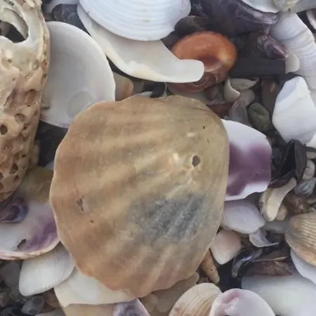 Apartament Bułgaria Na Lato Z Widokiem Na Morze Sozopol