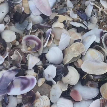 Bułgaria Na Lato Z Widokiem Na Morze Sozopol