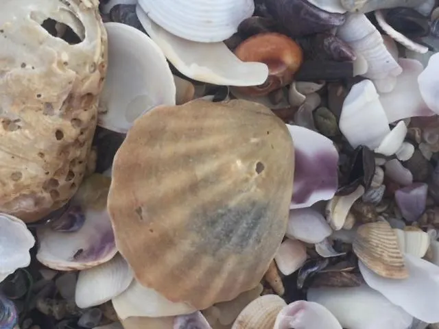 Apartament Bulgaria Na Lato Z Widokiem Na Morze Sozopol